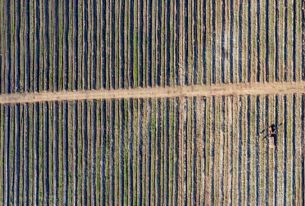 Fotografia aérea de drone vista superior de uma terra com campos verdes semeados no campo
 - Foto, Imagem