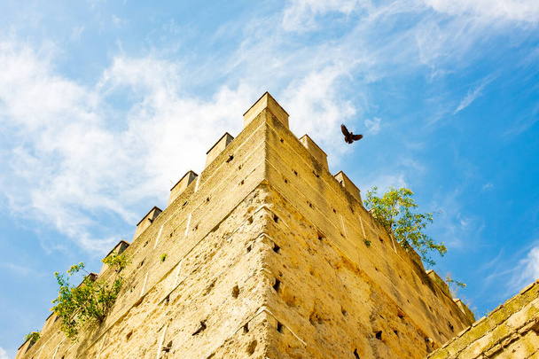 Fasada / przód starego Builidng w Hiszpanii Pełna gołębi Gniazda - Zdjęcie, obraz