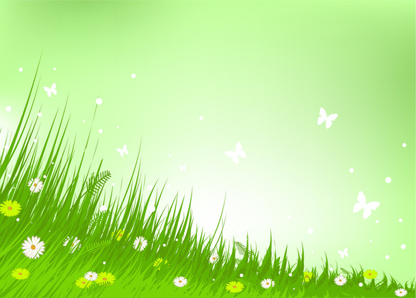 Meadow praise background - Vector, Image