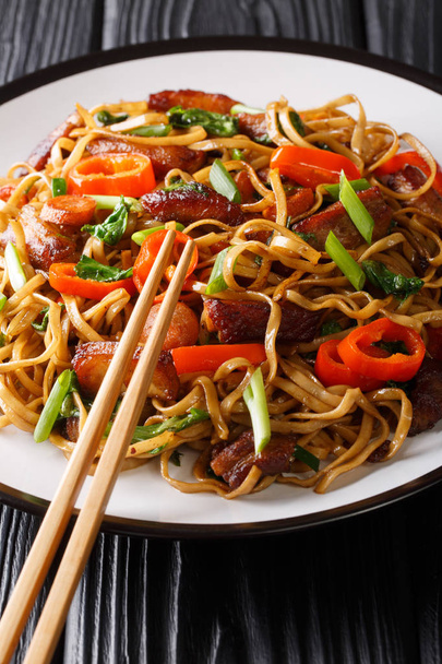Stir fried chow mein noodles with pork and vegetables close-up o - Photo, image
