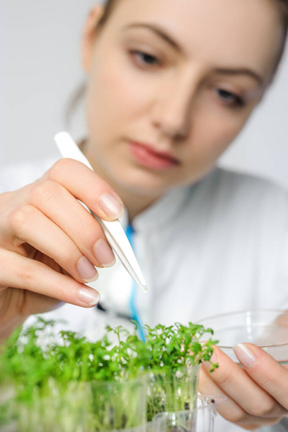 Young scientist or tech picks up cress-salad sprouts for quality - Fotó, kép