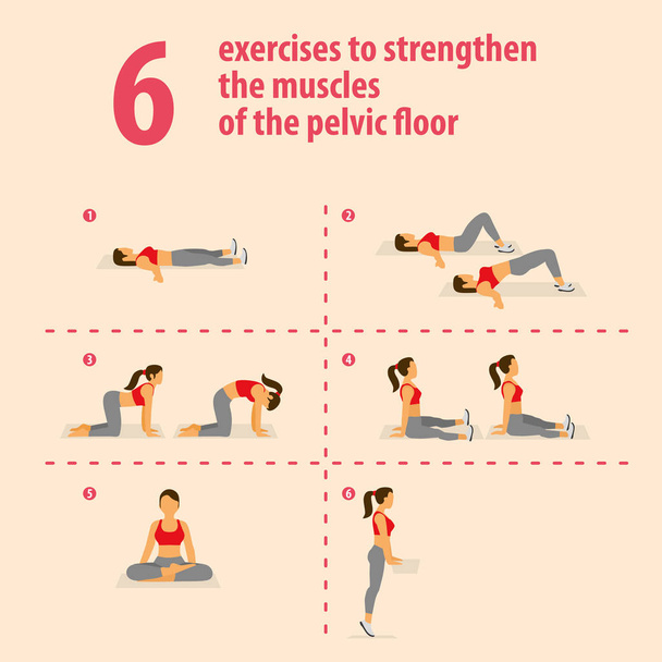 Exercises to strengthen the muscles of the pelvic floor. - Vector, Image