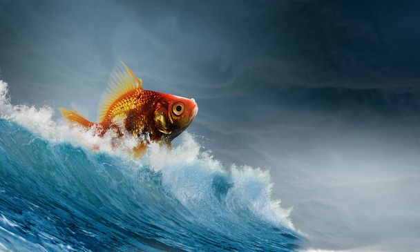 水中の金魚。混合メディア - 写真・画像