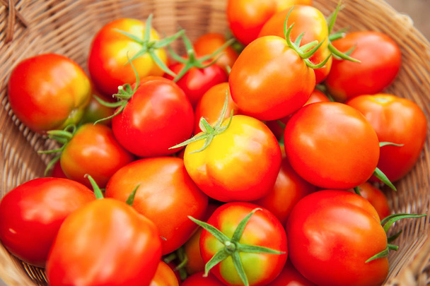 Fresh organic tomatoes are ripe in wicker basket. - Photo, Image