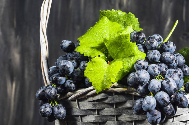 red grapes in a basket with green vine - Фото, зображення