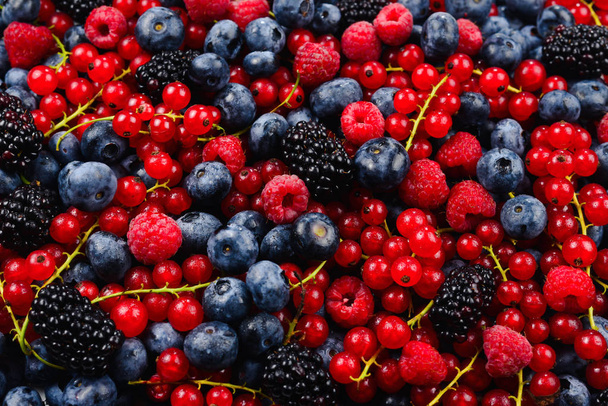 Blackberry, raspberry, blueberry,  red currant and mint backgrou - Photo, image