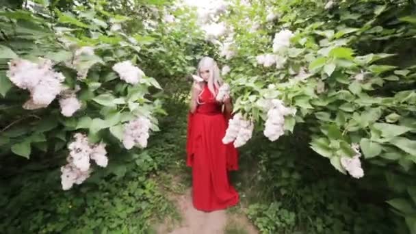 Mooi elf meisje in een rode jurk staat in een lente tuin tussen bloeiende struiken. - Video
