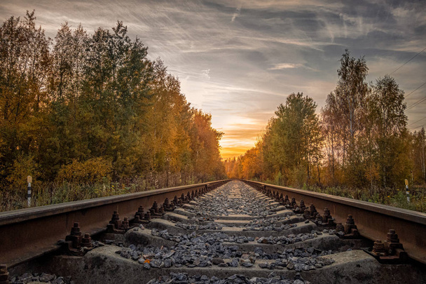 railway in the forest in autumn at sunrise - 写真・画像