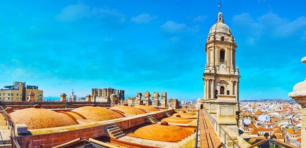 Panorama del tetto della Cattedrale di Malaga, Spagna
 - Foto, immagini