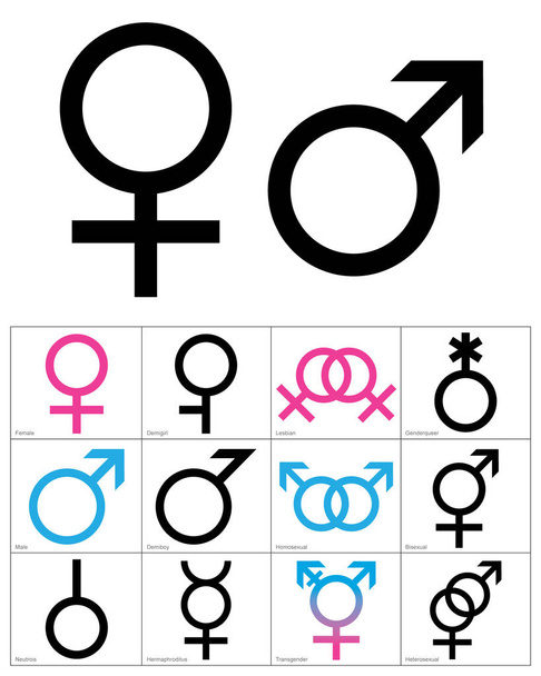 Σύμβολα Φύλου, γραμμικά μαύρα, μπλε και ροζ χρωματιστά εικονίδια gend - Διάνυσμα, εικόνα