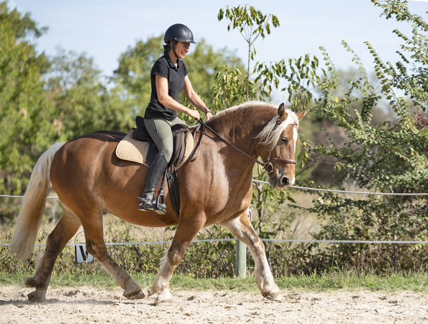 Верховая езда девушка и Comtois лошадь
 - Фото, изображение