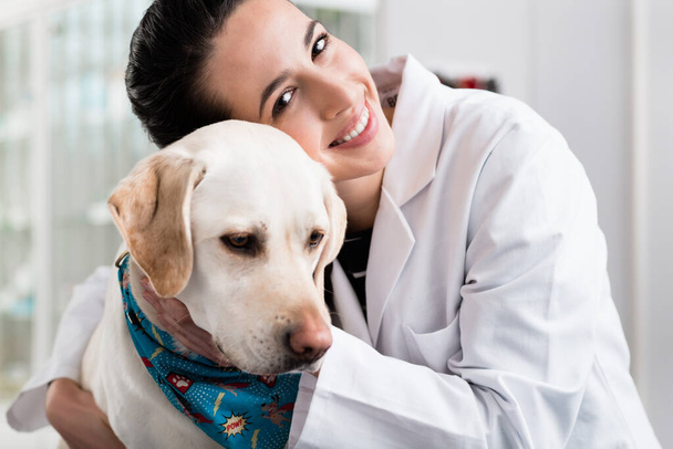 Lächelnder Arzt mit Hund - Foto, Bild