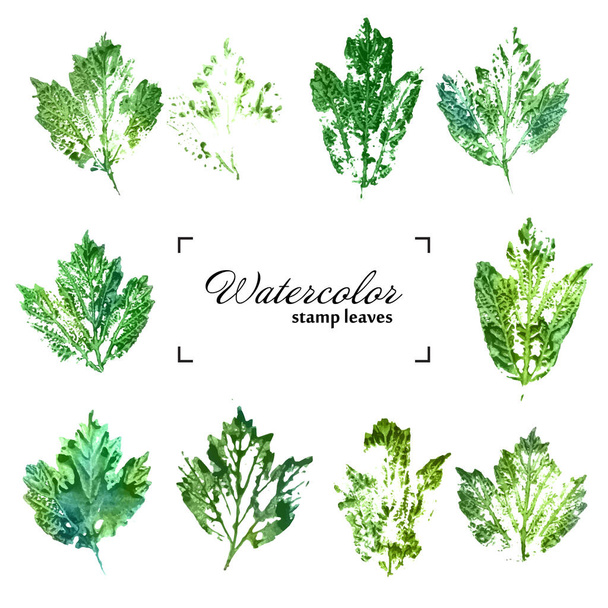 Vector Collection d'isolats de feuilles d'impression à l'encre sur fond blanc
. - Vecteur, image