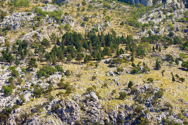 Steep mountain slope on a sunny autumn day, background. Dinaric Alps, Montenegro  - Photo, Image