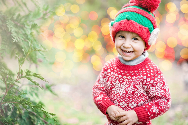 Little boy in sweater and hat waiting for a Christmas in the wood. Half-length portrait of a little boy near the christmas tree - Photo, Image