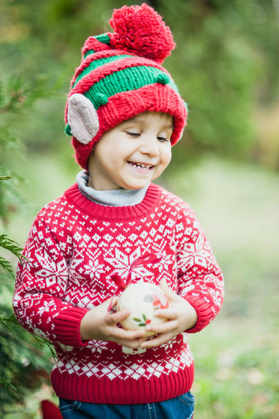 Little boy in sweater and hat waiting for a Christmas in the wood. Half-length portrait of a little boy near the christmas tree - Фото, зображення