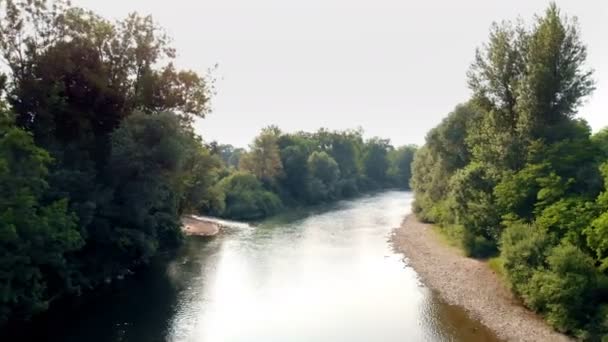 W tej części rzeki widzimy, że rzeka dzieli się na dwa nurty. Strzał z powietrza. Jest słoneczny letni dzień.. - Materiał filmowy, wideo