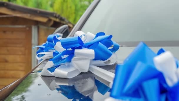 Een witte en blauwe decoratie op de auto. Een stel is net getrouwd.. - Video