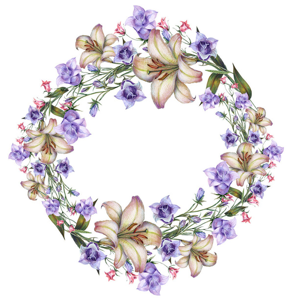 Watercolor meadow flowers. Wreath illustration on white background. - Photo, Image