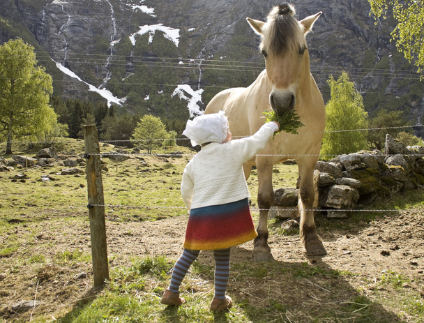 Lapsen ruokinta hevonen
 - Valokuva, kuva