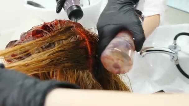 Hair dyeing in beauty salon. Professional hairdresser dyeing hair of her client. Hd - 映像、動画