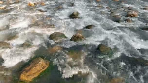 Widzimy rzekę w okresie letnim. To pokojowo przepływa przez kamienie.. - Materiał filmowy, wideo