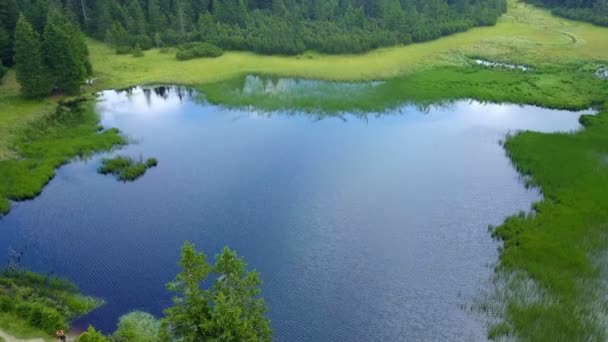 Kolem je vidět tmavě modré jezero a zelené louky. Letecký záběr. Je opravdu krásný den.. - Záběry, video