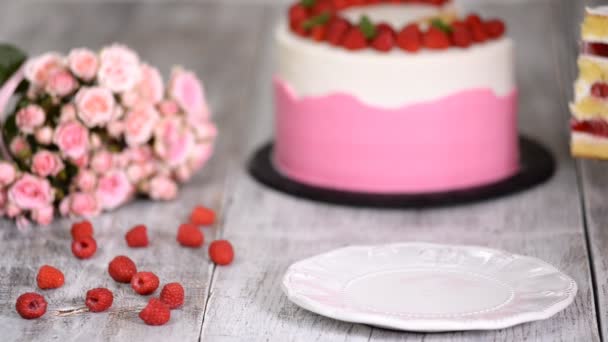 Piece of delicious summer cake with raspberry jelly. - Footage, Video