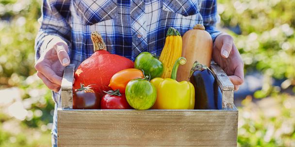 Mujer sosteniendo cajón con verduras en la granja
 - Foto, Imagen