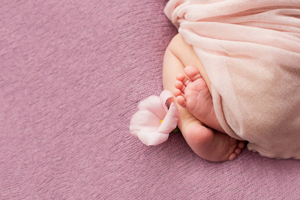  πόδια του νεογέννητου μωρού με λουλούδια, δάχτυλα στο πόδι, μητρική φροντίδα, αγάπη και οικογενειακές αγκαλιές, τρυφερότητα  - Φωτογραφία, εικόνα