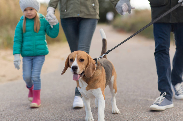 family walking with dog in autumn - Φωτογραφία, εικόνα