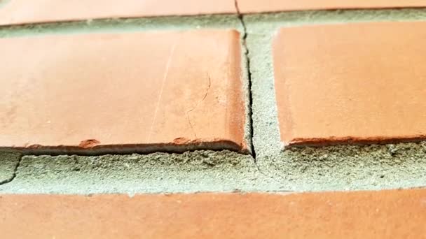 Red brick wall, closeup review. Crack in grey seam. - Footage, Video