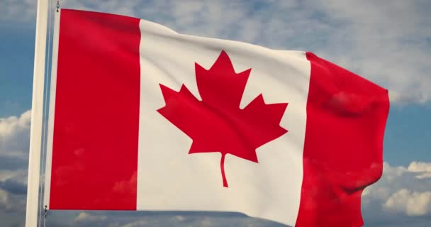 Bandera canadiense ondeando en el viento tiene diseño de hoja de arce de Canadá. Un estandarte o emblema de la libertad, la política y el patriotismo - 30fps 4k Video
 - Imágenes, Vídeo