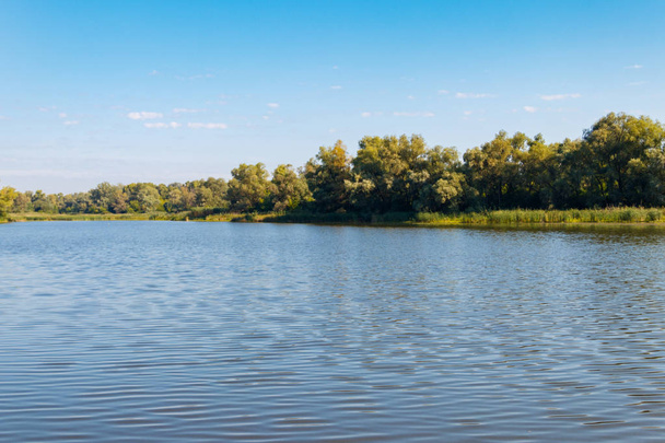 Літній пейзаж з красивою річкою, зеленими деревами і блакитним небом
 - Фото, зображення
