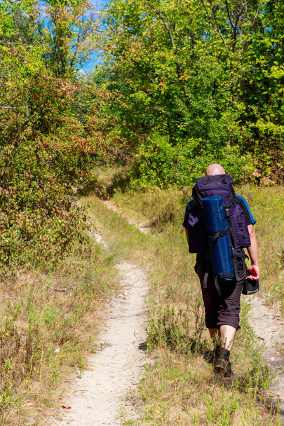 Backpacker escursioni sulla strada sterrata nella foresta verde. Vista posteriore
 - Foto, immagini