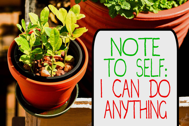 Writing note showing Note To Self I Can Do Anything. Business photo showcasing Motivation for doing something confidence Plentiful plants on a small pot placed side by side with a large one. - Photo, Image