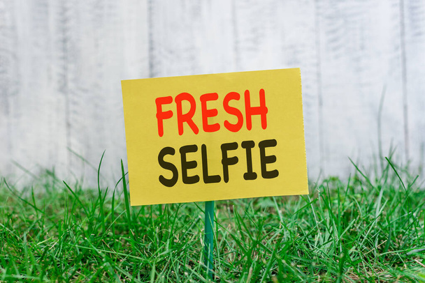 Piszę notatkę z Fresh Selfie. Pokazywanie zdjęć biznesowych zrobić sobie zdjęcie bez filtra do makijażu lub edytować zwykły papier dołączony do kija i umieszczone w trawiastej ziemi. - Zdjęcie, obraz