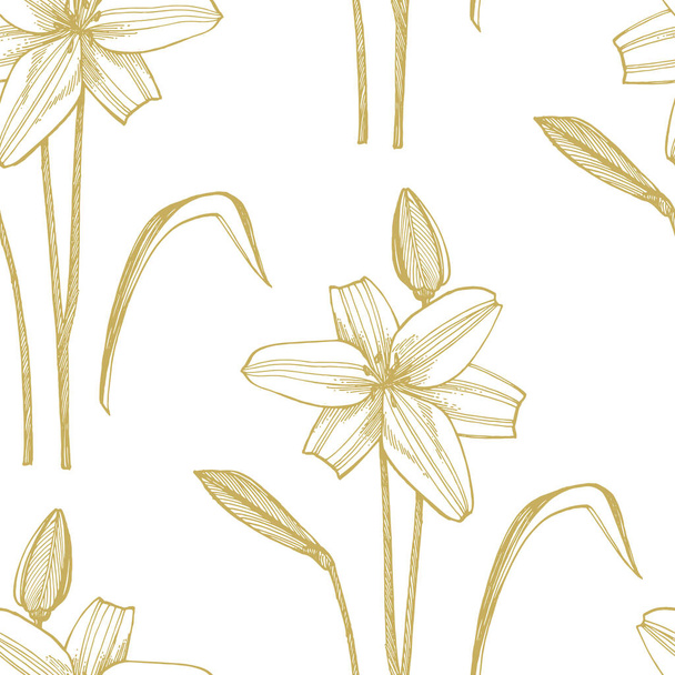 Lily flowers. Botanical illustration. Good for cosmetics, medicine, treating, aromatherapy, nursing, package design, field bouquet Hand drawn wild hay flowers - Vetor, Imagem