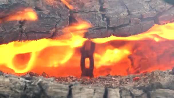 In den heißen Flammen des Feuers hängt eine Metallkette zwischen den Baumstämmen - Filmmaterial, Video