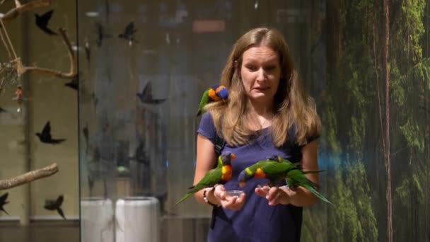 Papagájmadarak landolnak a lány kezén. Izgatott nő madarakat etet az állatkertben. Gimbal mozgás - Felvétel, videó