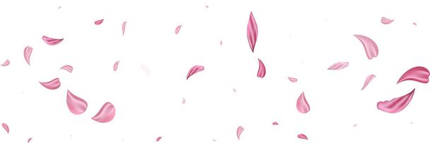 Pink falling petals wind. Sakura or rose flower pastel texture background. - Vector, Image