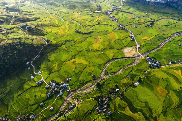 Vue aérienne du dessus des terrasses de riz paddy, champ agricole vert
 - Photo, image