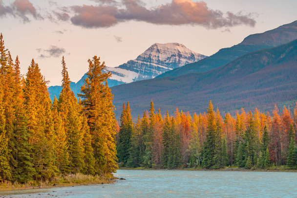 カナダのロッキー山脈の秋の風景 - 写真・画像