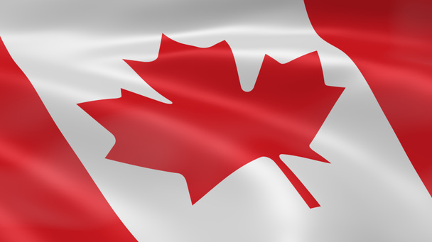 Канадский флаг на ветру - Фото, изображение