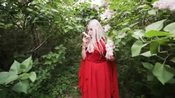 春の開花低木の間で庭に立つ赤いドレスに身を包んだ若い女性. - 映像、動画