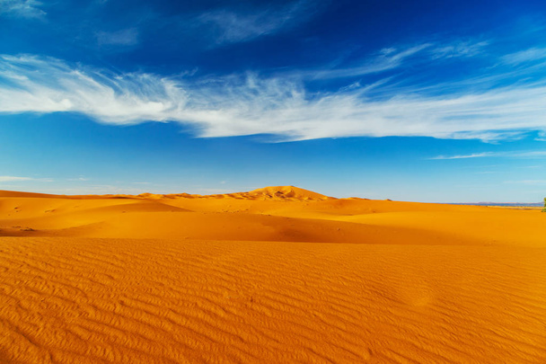 Sand Dunes of the Sahara Desert.  - Photo, Image