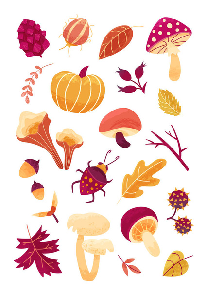 Stagione autunnale. Icona dell'umore autunnale set foglie autunnali, semi, bacche e funghi, isolati su sfondo bianco
.  - Vettoriali, immagini