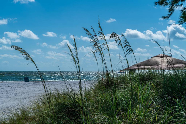 Ciepły i wietrzny dzień na plaży na wyspie Anna Maria w południowo-zachodniej Florydzie. - Zdjęcie, obraz