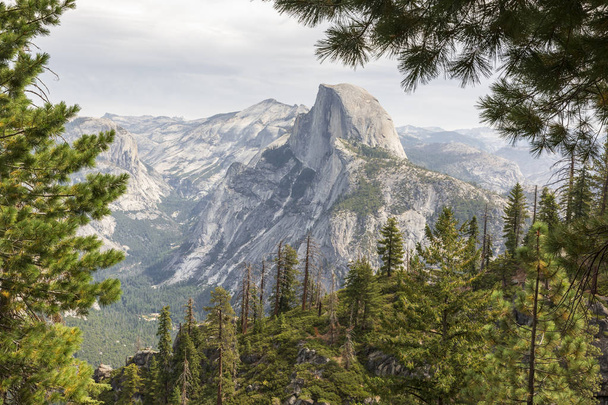 Demi dôme dans la vallée de Yosemite encadré par des arbres
  - Photo, image