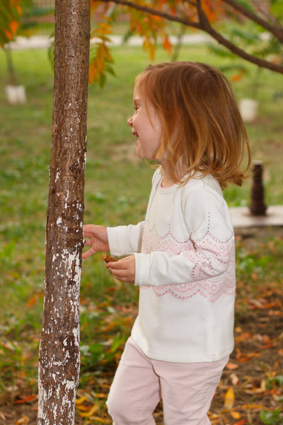 Adorable baby girl playing in a sunny park under a tree with yellow leaves, hiding behind tree - Φωτογραφία, εικόνα